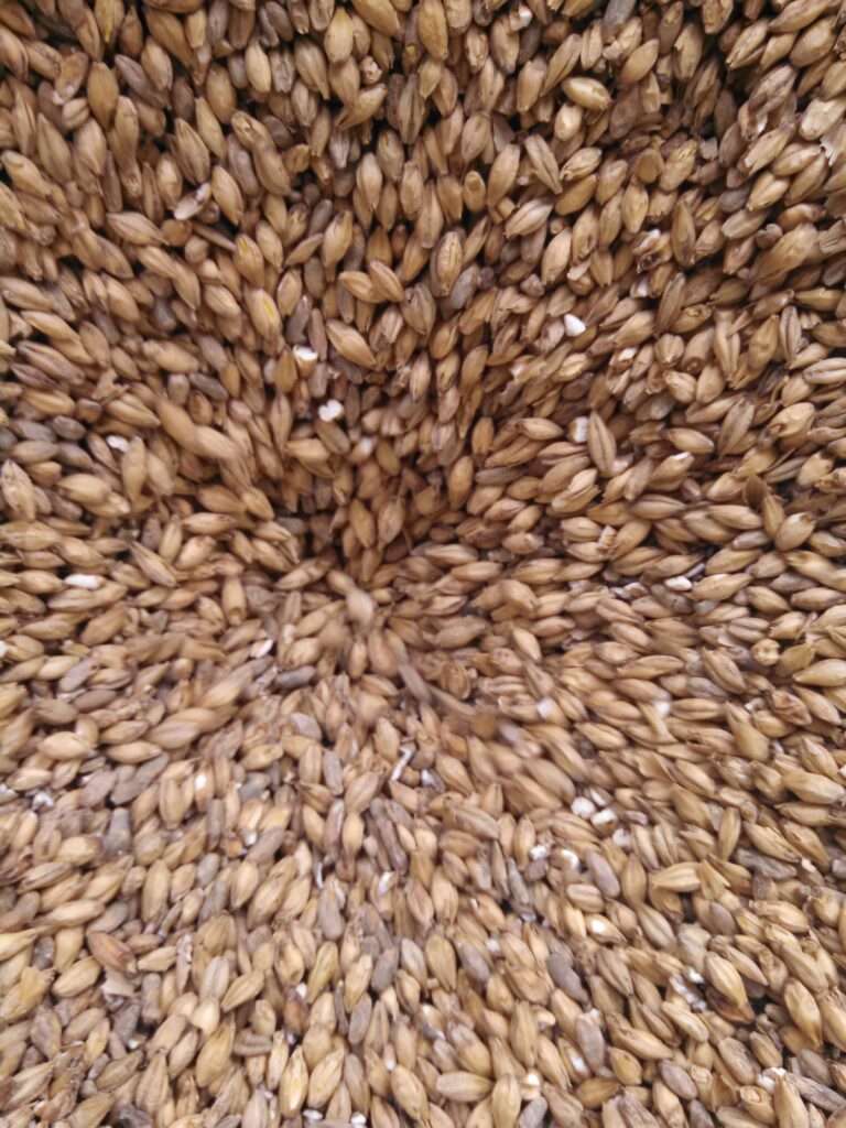 grain and more grain